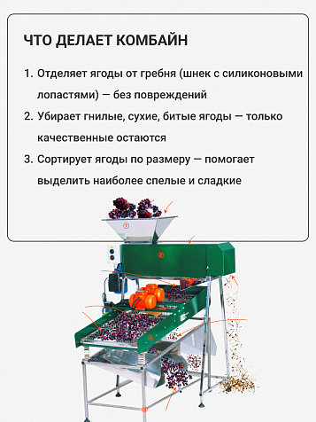 Комбайн с гребнеотделителем для отделения некондиционной ягоды